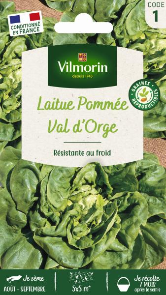Potagères - Laitue d'Hiver Val d'Orge - face recto